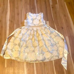 American princess dress size 12